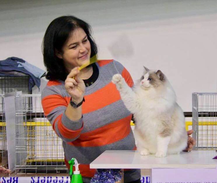 /images/Galeria/Kiállítások (Cat shows)/18698135_437016646666035_1811924964408064896_n.jpg